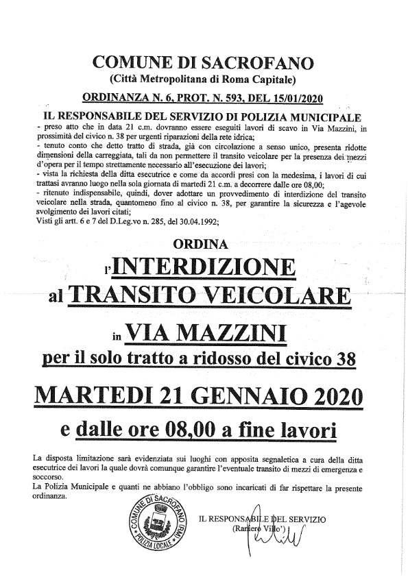 Testo dell'ordinanza 