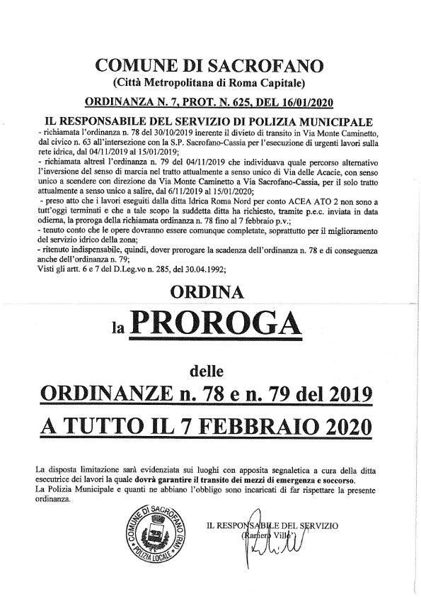 Testo integrale dell'ordinanza 